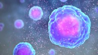 This rendering depicts the secretion of cytokines, the tiny pink bits, from a cell. Image credit: Scientificanimations.com / CC BY-SA 4.0.