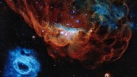 This Hubble image shows the giant nebula NGC 2014 and its neighbor NGC 2020. Image credit: NASA / ESA / Hubble / STScI.
