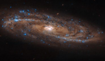 This Hubble image shows a spiral galaxy called NGC 4100. Image credit: NASA / ESA / Hubble / L. Ho.