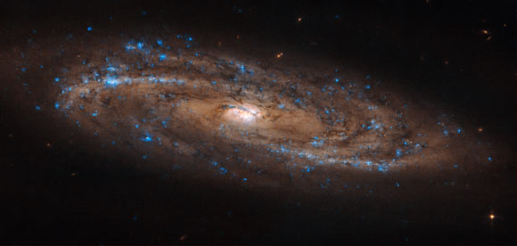 This Hubble image shows a spiral galaxy called NGC 4100. Image credit: NASA / ESA / Hubble / L. Ho.