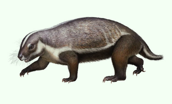Life reconstruction of Adalatherium hui. Image credit: Andrey Atuchin / Denver Museum of Nature & Science.