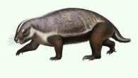Life reconstruction of Adalatherium hui. Image credit: Andrey Atuchin / Denver Museum of Nature & Science.