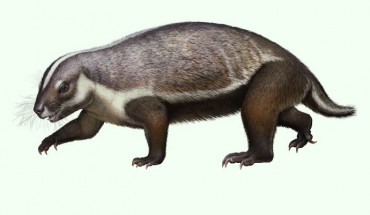Life reconstruction of Adalatherium hui. Image credit: Andrey Atuchin / Denver Museum of Nature & Science.