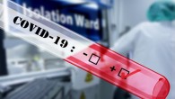 Zhang et al show an association between the reported cure rates for COVID-19 and selenium status. Image credit: Gerd Altmann.