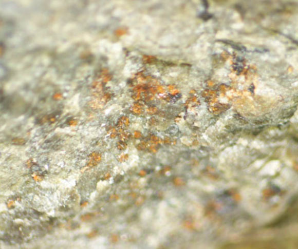 Orange-colored carbonate grains in the ALH 84001 meteorite. Image credit: Koike et al, doi: 10.1038/s41467-020-15931-4.