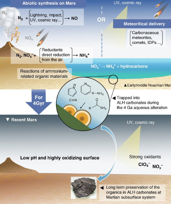Nitrogen-bearing organic matter was either synthesized locally or delivered meteoritically on the early Mars. The former case requires an abiotic reduction of N (e.g., N2, NOx → NH3) to start the ammonia-related chemical reactions. The latter case is also possible if adequate amounts of nitrogen-bearing components were supplied. This organic matter survived in the 4-billion-year-old Martian (near) surface fluids and was trapped into ALH carbonates during precipitation. The carbonates resided in the subterranean system, preserving the organic components over long geological times. Image credit: Koike et al, doi: 10.1038/s41467-020-15931-4.