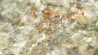 Orange-colored carbonate grains in the ALH 84001 meteorite. Image credit: Koike et al, doi: 10.1038/s41467-020-15931-4.
