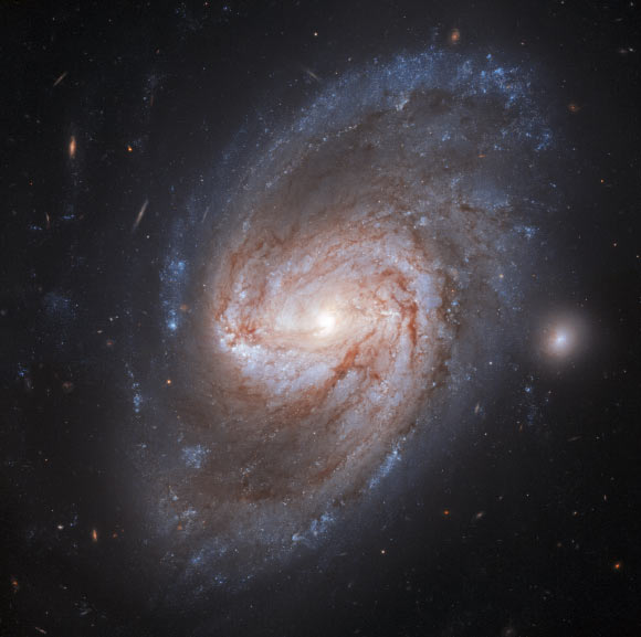 This Hubble image shows the barred spiral galaxy NGC 3583. The color image was made from separate exposures taken in the visible and near-infrared regions of the spectrum with Hubble’s Wide Field Camera 3 (WFC3). Three filters were used to sample various wavelengths. The color results from assigning different hues to each monochromatic image associated with an individual filter. Image credit: NASA / ESA / Hubble / A. Riess et al.