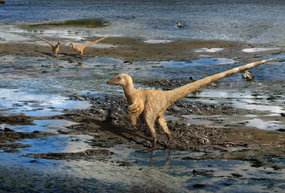 A paleoreconstruction of the earliest known species of dromaeosaurid dinosaur. Image credit: Julius T. Csotonyi / CC BY 4.0.