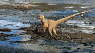 A paleoreconstruction of the earliest known species of dromaeosaurid dinosaur. Image credit: Julius T. Csotonyi / CC BY 4.0.