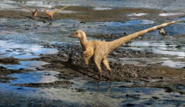 A paleoreconstruction of the earliest known species of dromaeosaurid dinosaur. Image credit: Julius T. Csotonyi / CC BY 4.0.