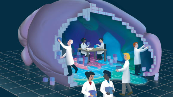 Wang et al built a detailed map of the mouse brain from tiny virtual 3D blocks, or voxels. Image credit: Benedicte Rossi.
