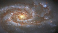 This Hubble image shows NGC 5861, an intermediate spiral galaxy located some 85 million light-years away in the constellation of Libra. The image is made up of observations from Hubble’s Wide Field Camera 3 (WFC3) in the infrared and optical parts of the spectrum. It is based on data obtained through four filters. The color results from assigning different hues to each monochromatic image associated with an individual filter. Image credit: NASA / ESA / Hubble / A. Riess et al.