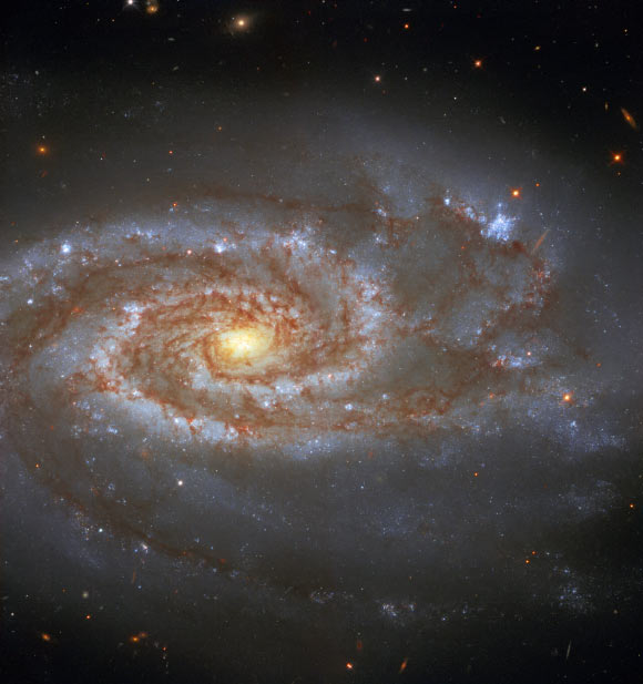 This Hubble image shows NGC 5861, an intermediate spiral galaxy located some 85 million light-years away in the constellation of Libra. The image is made up of observations from Hubble’s Wide Field Camera 3 (WFC3) in the infrared and optical parts of the spectrum. It is based on data obtained through four filters. The color results from assigning different hues to each monochromatic image associated with an individual filter. Image credit: NASA / ESA / Hubble / A. Riess et al.
