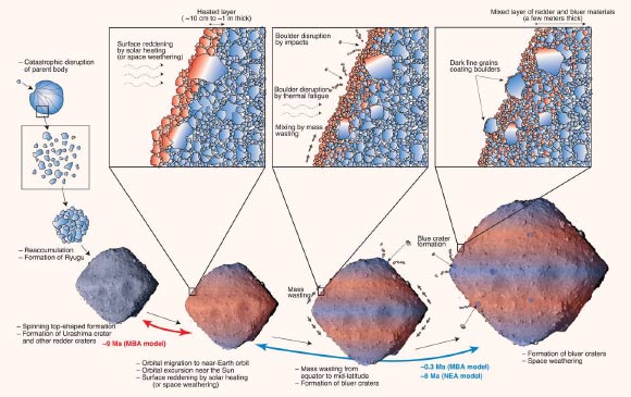 A schematic illustration of suggested evolution of Ryugu: surface reddening occurred within a short period after the emplacement of red craters and before the formation of blue craters; Morota et al interpret the cause of the surface reddening as solar heating that occurred while Ryugu came temporarily closer to the Sun than on its present orbit; between the formation of Ryugu’s spinning-top shape and the surface reddening, the researchers estimate a time of 9 million years on the basis of  size-frequency distributions (SFDs) of red craters; from the SFDs of blue craters, the age of the surface reddening is estimated to be 0.3 million years using the main belt collision-frequency model and 8 million years using the near-Earth asteroid collision-frequency model; the scientists interpret these estimates as upper and lower age limits for the surface reddening; after the surface reddening event, the redder materials were disrupted and redistributed by impacts, thermal fatigue, and mass wasting from the equator to mid-latitude regions; a layer of mixed red and blue material subsequently formed on Ryugu’s surface. Image credit: Morota et al, doi: 10.1126/science.aaz6306.