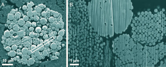 These electron images show magnetite framboids in the Tagish Lake meteorite: the larger spherical to hexagonal structure within the thin section (A) is constructed of numerous framboidal aggregates, as imaged during FIB (focused ion beam) analysis of the sample (B); the abundance of carbonaceous material within the framboids is correlated with the tightness of packing, with deformed regions incorporating higher quantities of carbon; for reference, the lift-out location for atom probe microtip preparation is highlighted in (A). Image credit: White et al, doi: 10.1073/pnas.2003276117.