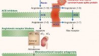 ACE2 -- RAAS (rennin-angiotensin-aldosterone system) -- COVID-19 axis. Image credit: Sama et al, doi: 10.1093/eurheartj/ehaa373.