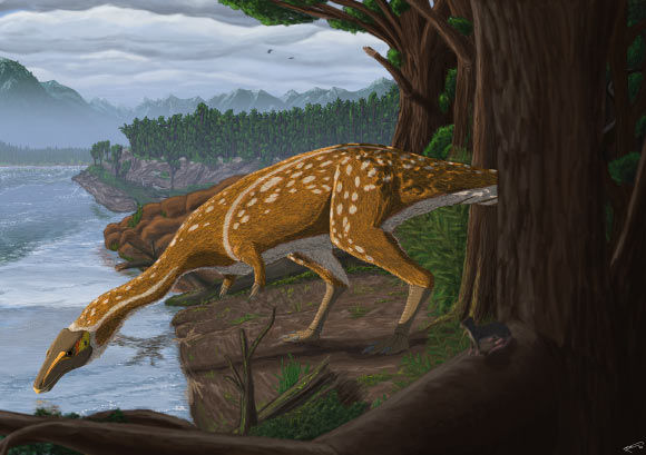 Life reconstruction of the first Australian elaphrosaur. Image credit: Ruairidh Duncan.