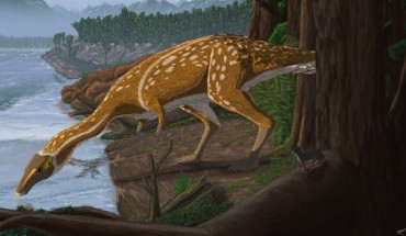 Life reconstruction of the first Australian elaphrosaur. Image credit: Ruairidh Duncan.
