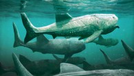 Titanichthys was a suspension feeder with jaws ill-suited for biting and crushing but well suited for gaping ram feeding. Image credit: Mark Witton.
