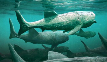 Titanichthys was a suspension feeder with jaws ill-suited for biting and crushing but well suited for gaping ram feeding. Image credit: Mark Witton.