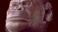 Facial reconstruction of Australopithecus sediba. Image credit: Cicero Moraes et al.
