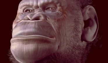 Facial reconstruction of Australopithecus sediba. Image credit: Cicero Moraes et al.