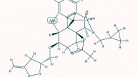 Secretoneurin. Imager credit: Chemicalbook.