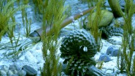 Devonian-period seafloor. Image credit: University of Michigan Museum of Natural History.