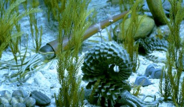 Devonian-period seafloor. Image credit: University of Michigan Museum of Natural History.