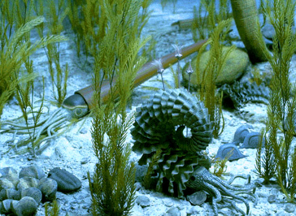 Devonian-period seafloor. Image credit: University of Michigan Museum of Natural History.