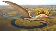 Wightia declivirostris flying over an oxbow lake in the valley of the ancient Wessex River that flowed from Devon to the Isle of Wight. Image credit: Megan Jacobs.