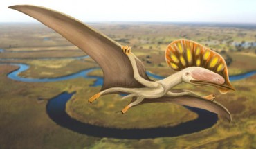 Wightia declivirostris flying over an oxbow lake in the valley of the ancient Wessex River that flowed from Devon to the Isle of Wight. Image credit: Megan Jacobs.