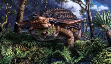 Life reconstruction of the armored dinosaur Borealopelta markmitchelli, which lived in what is now Alberta, Canada, some 110 million years ago, eating ferns. Image credit: Julius Csotonyi / Royal Tyrrell Museum.