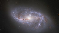 This Hubble image shows NGC 2608, a barred spiral galaxy located 64 million light-years away in the constellation Cancer. The picture was created from images taken with Hubble’s Wide Field Camera 3 (WFC3). It combines observations gathered in four different filters, bringing together visible and infrared light to show off this galaxy in all its glory. The color results from assigning different hues to each monochromatic image associated with an individual filter. Image credit: NASA / ESA / Hubble / A. Riess et al.