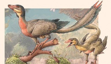 Life reconstruction of an adult and a juvenile Overoraptor chimentoi. Image credit: Gabriel Lio.