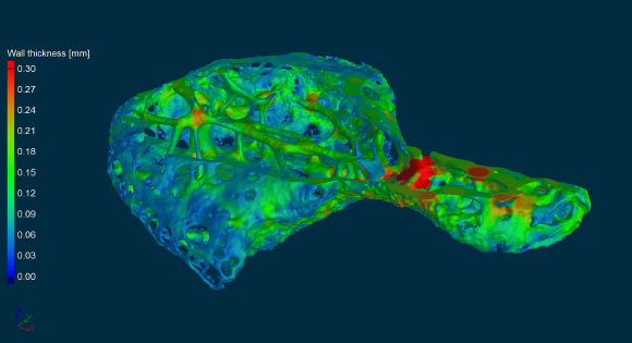 High-resolution microCT image of the chimpanzee’s os cordis. Image credit: Moittié et al, doi: 10.1038/s41598-020-66345-7.