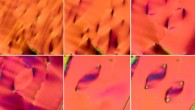 View of a new phase of liquid crystal as seen under the microscope. Image credit: Chen et al, doi: 10.1073/pnas.2002290117.