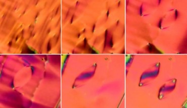 View of a new phase of liquid crystal as seen under the microscope. Image credit: Chen et al, doi: 10.1073/pnas.2002290117.