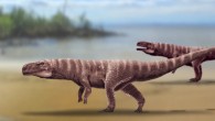 Bipedal crocodylomorph trackmakers. Image credit: Anthony Romilio.