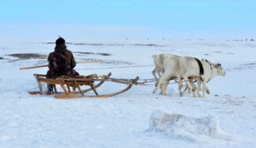 A Nenets man traveling on a sled pulled by three reindeer, Tambei region of the Yamal peninsula, June 2018. In his left hand he holds the khorei (a wood pole) and in his right the nenzamindya’sa (head rope), both of which are used to communicate with the reindeer during sledding. Image credit: Losey et al, doi: 10.1007/s10816-020-09455-w.
