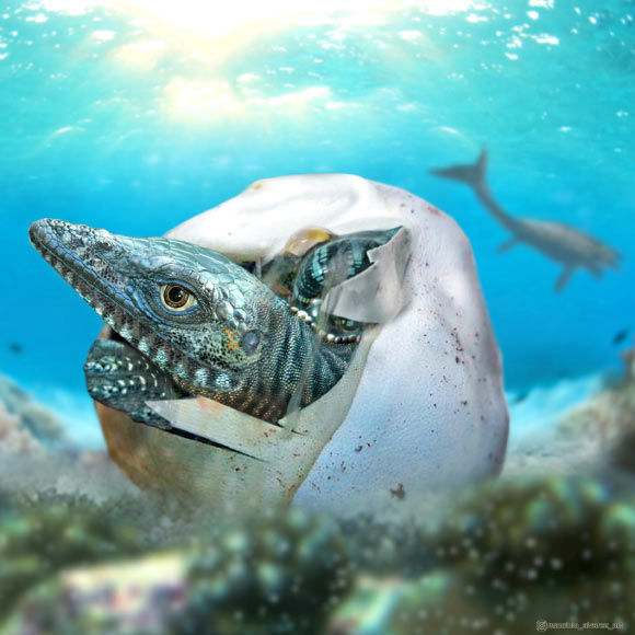An artist’s interpretation of a baby mosasaur emerging from an egg. Image credit: Francisco Hueichaleo.