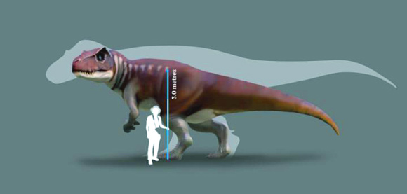 A reconstruction of a Jurassic dinosaur track-maker from southern Queensland in front of a silhouette of the largest known Tyrannosaurus rex. Image credit: Anthony Romilio.