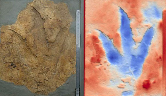 One of the dinosaur footprints from an Oakey mine in Queensland, Australia. Image credit: Anthony Romilio.