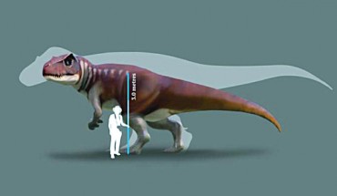 A reconstruction of a Jurassic dinosaur track-maker from southern Queensland in front of a silhouette of the largest known Tyrannosaurus rex. Image credit: Anthony Romilio.