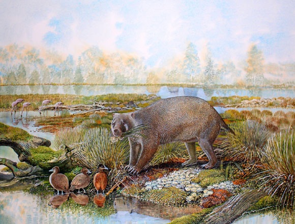 An artist’s impression of Mukupirna nambensis living in central Australia that was much greener 25 million years ago. Image credit: Peter Schouten.