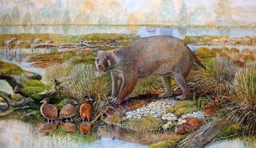 An artist’s impression of Mukupirna nambensis living in central Australia that was much greener 25 million years ago. Image credit: Peter Schouten.