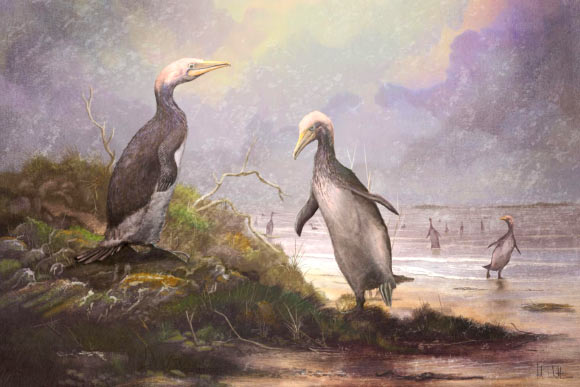 A group of Copepteryx, plotopterid birds that lived in Japan between 28.4 and 23 million years ago. Image credit: Mark Witton.