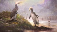 A group of Copepteryx, plotopterid birds that lived in Japan between 28.4 and 23 million years ago. Image credit: Mark Witton.