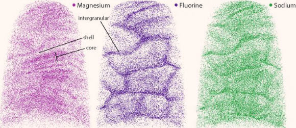 In three views of the same sample of enamel crystallites, atom probe tomography reveals the distributions of three minor elements, with each colored dot representing a single atom. These maps show that magnesium is present in two distinct layers in the core, and fluorine and sodium are heavily concentrated in the areas between crystallites, known as the intergranular phase. Image credit: Karen DeRocher, Northwestern University.